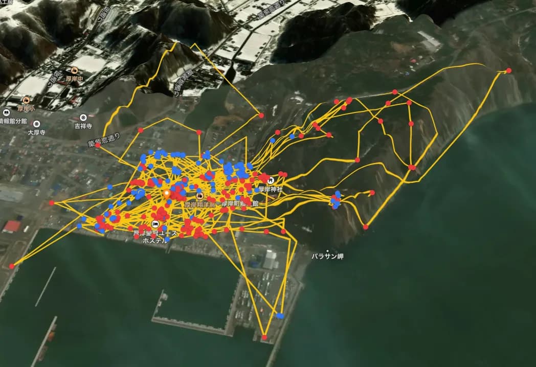 Sika Deer - Movement Track