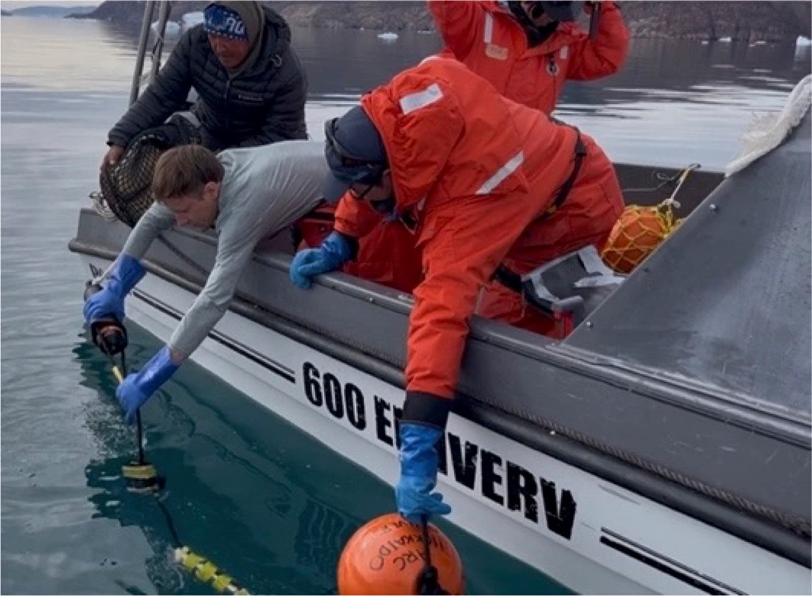 Video-acoustic monitoring of a Greenlandic glacial fjord seafloor — backward-swimming fish and narwhals